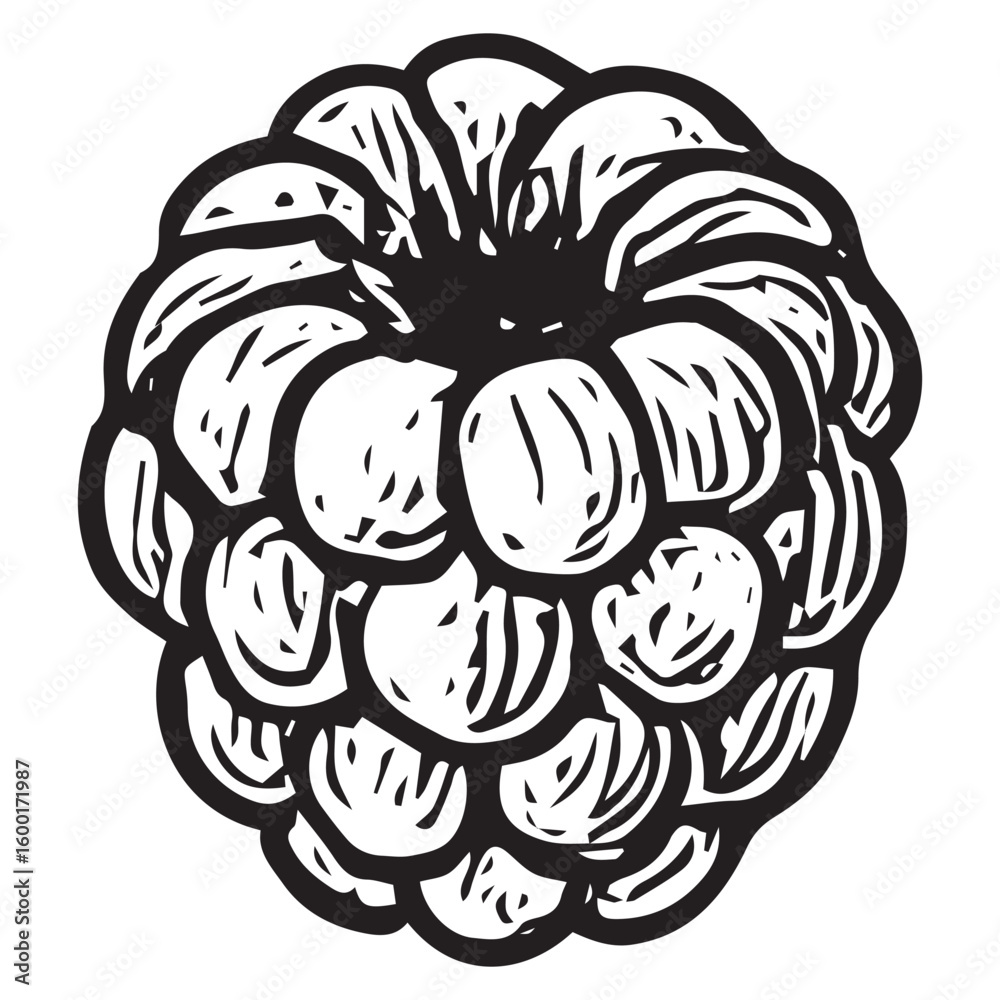 Obraz premium Hand-Drawn Single Raspberry Illustration with Detailed Texture