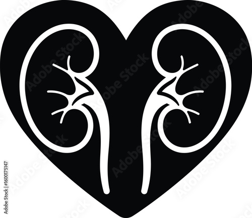 Healthy Human Kidneys with Arteries and Veins Illustration