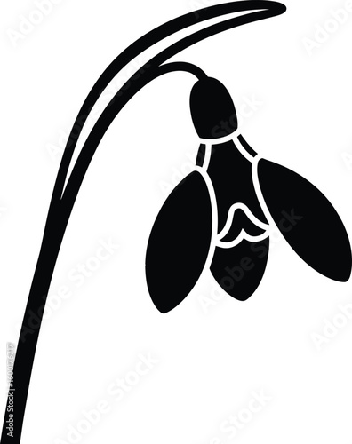 Delicate snowdrop flower with curved stem bloom petal