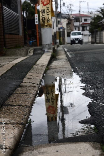 雨上がりの道端