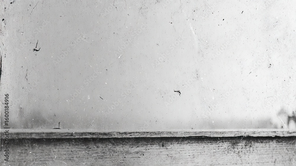 Fototapeta premium A grayscale, textured vista.