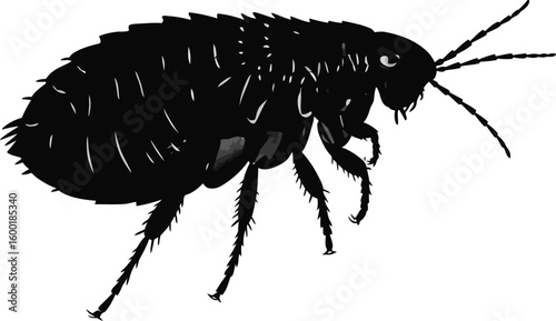 Flea Insect Pest Bug Silhouette Parasite