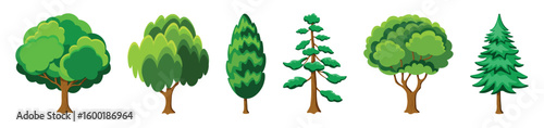 Set of beautiful trees in cartoon style. Vector illustration of different types of trees with lush green crowns, trunks, branches: oak, willow, thuja, pine, fir tree isolated on white background.