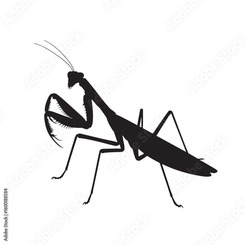Black Praying Mantis Silhouette Standing - Insect Predator Vector Illustration for Nature, Entomology, and Wildlife Designs

