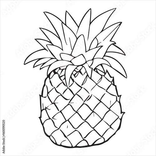 Pineapple fruit icon vector illustration