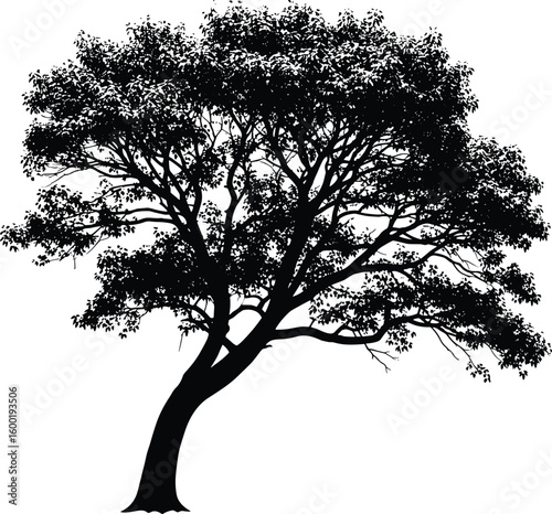Cad drawing flat vector illustration, detailed tree silhouette with wide branches, organic structure, complex foliage pattern, nature-themed graphic design