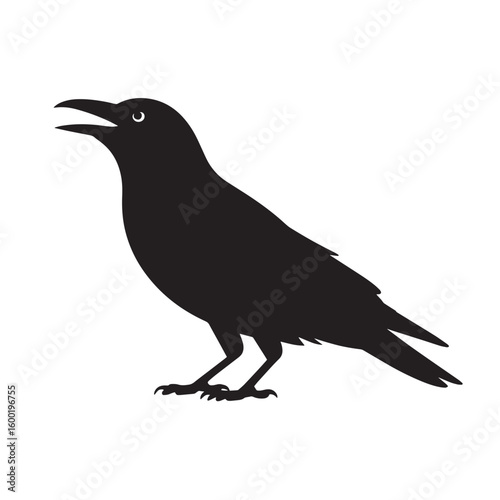 Black Crow or Raven Silhouette Crawing or Standing - Intelligent Bird Vector Illustration for Nature, Gothic, and Halloween Designs

