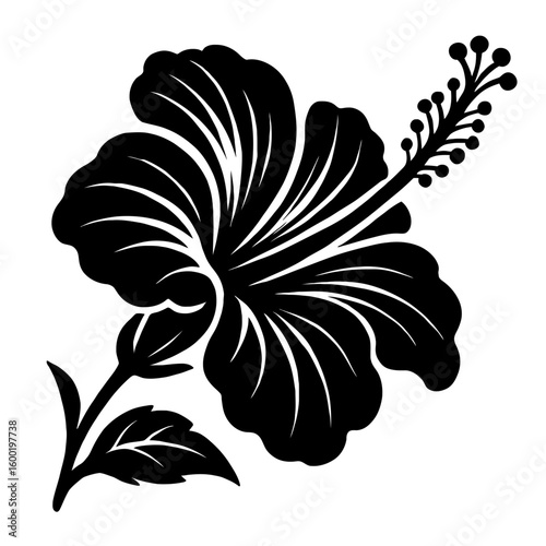 Hibiscus Flower Plant. A detailed solid vector illustration of a tropical hibiscus flower with a large bloom and leaves.