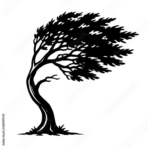 Strong Wind Blowing a Tree - Weather Element
