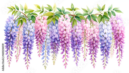 Wisteria floral border with spring blooms.