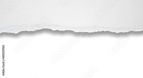 Torn white paper strip with a shadow isolated on white background