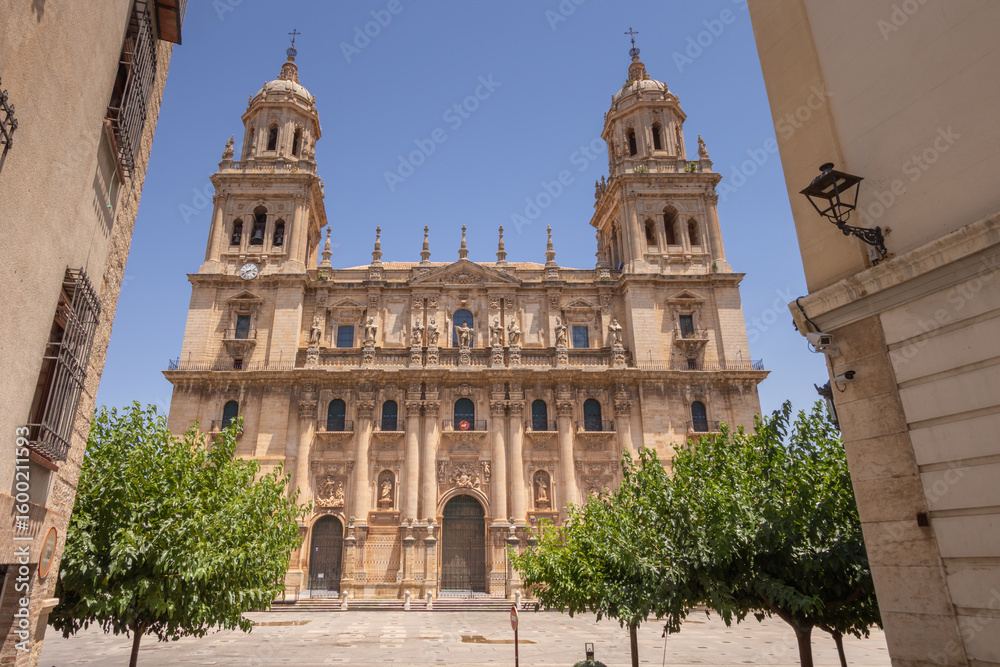 Obraz premium Cathedral of the Assumption of the Virgin of Jaén, one of the greatest exponents of Baroque religious architecture
