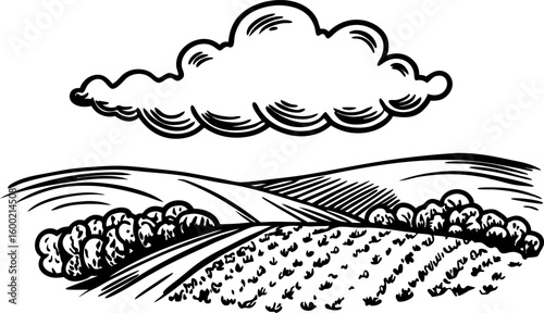 Hand drawn rural landscape with cloudy sky, rolling hills, trees, and cultivated farmland field illustration