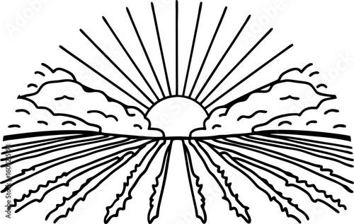 Sunrise over farmland linear landscape illustration with sun rays, clouds, and cultivated field furrows for agriculture concept