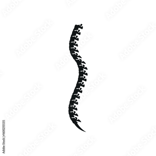 Backbone Illustration