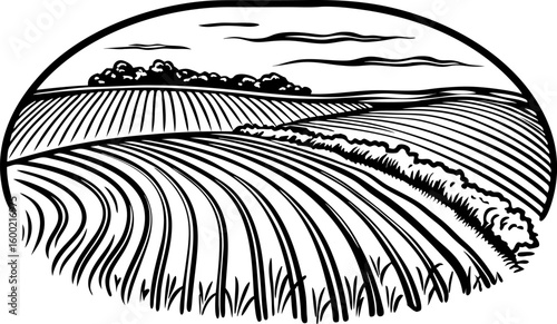 Rolling countryside fields illustration rural farmland landscape with furrowed soil, distant trees, and cloudy sky