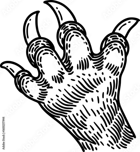predatory animal claw, sharp talons extended, detailed wild beast paw illustration, aggressive attack concept