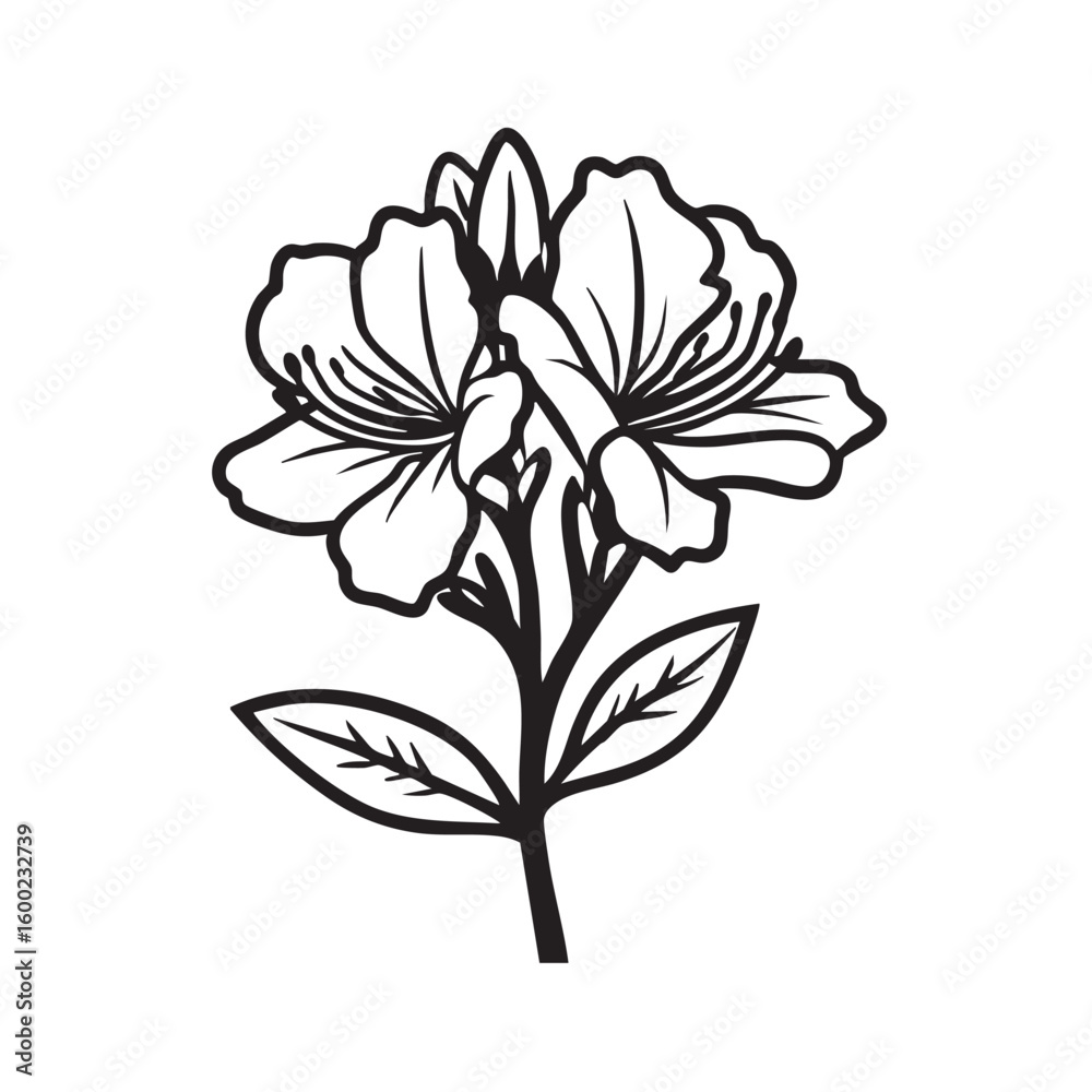 Obraz premium Elegant flower sketch for design and artistic projects
