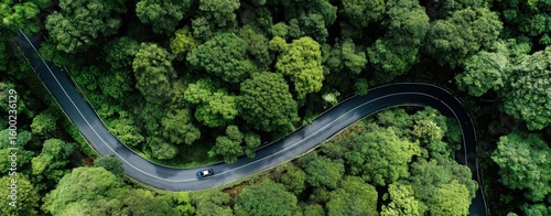 A stunning aerial view shows a winding road in a dense forest