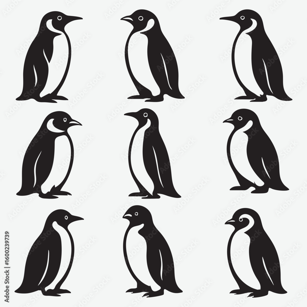 Naklejka premium Black and white penguins standing animal