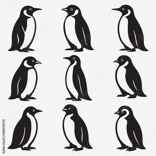 Black and white penguins standing animal