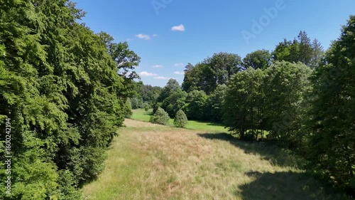 Flug durch Baumreihen