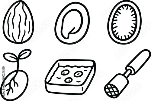hand drawn cute out doodle style isolated seed husk coating seed embryo core seed coat fiber seed germination chamber seed viability tester seed scarification tool