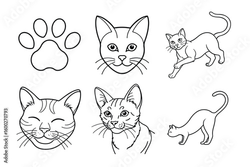  Six stylized line art vector of cat portraits and paws