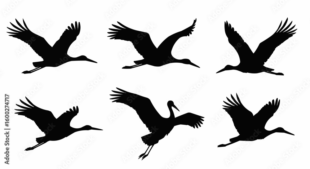 Obraz premium Flying Stork Silhouettes