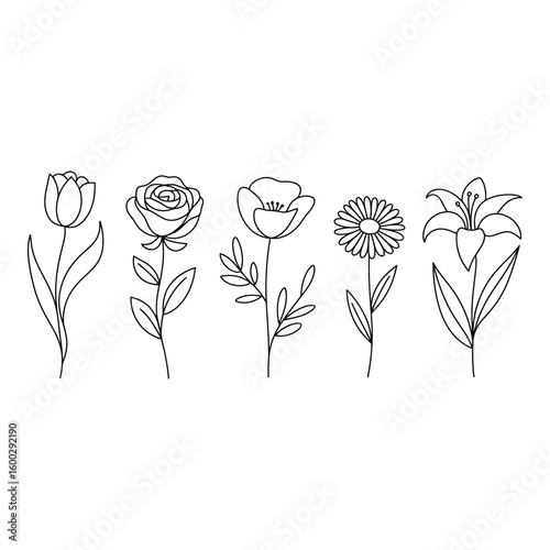 Line art of various flowers isolated on white background