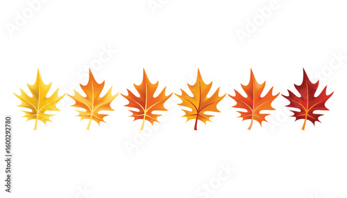 Autumn leaves design element. Fall colorful maple leaves border on white background. Vector illustration