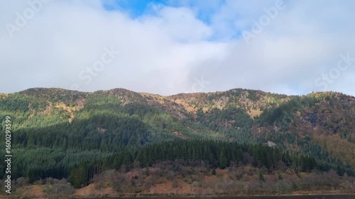 Scenic Mountain Landscape with Lush Forests and Clear Blue Sky