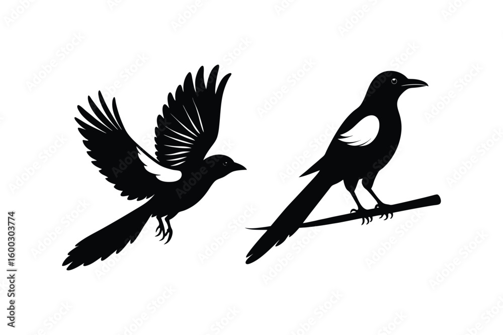Obraz premium Set of Magpie Silhouette vector, Black Magpie Silhouette 