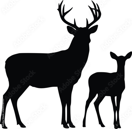 Silhouette of adult deer with antlers and fawn in natural pose