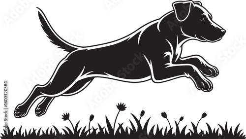 Silhouette of a Dog Jumping Over Grass with Flowers in a Field 