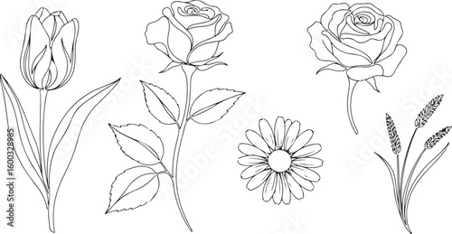 Delicate sketch of assorted blooming flowers and stems for artistic projects