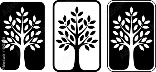Elm Tree Silhouette Vector – Black on White Background

