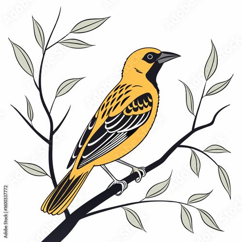 Vector art of a stylized illustration of a bright yellow oriole bird with black white