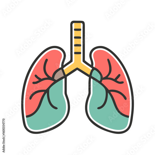 lungs icon vector 