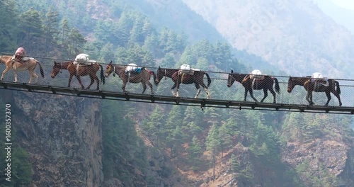 Drone shot of Hillary Bridge enroute to Everest Base Camp, mules transport gears over river in serene Sagarmatha landscape, Nepal trekking route with rivers and peaceful scenario
