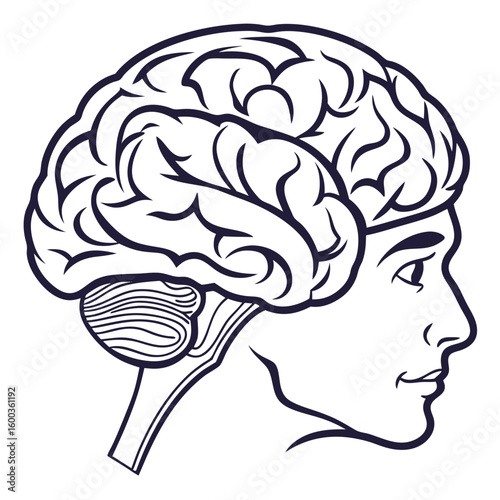 Human brain profile with facial features head face