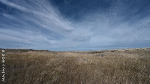 A light wind blowing dry prairie grass on a vast ranch under a blue summer sky with wispy clouds
