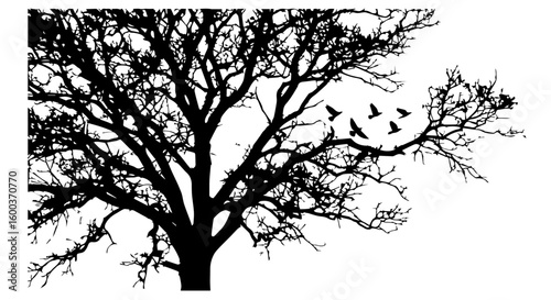 Vector art of a stark black silhouette of a bare sprawling tree with a flock of birds taking flight against a clean