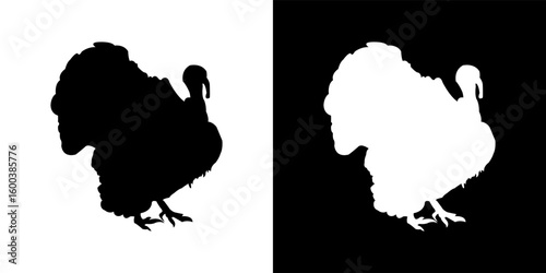 Turkey Silhouette in Black and White Contrast – Vector Illustration