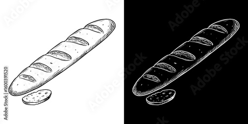 Isolated vector image of a baguette, two design variants - on transparent and black backgrounds, chalk drawing
