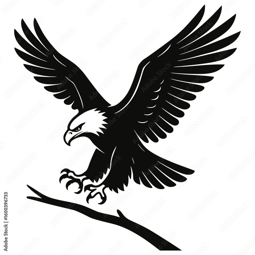 Fototapeta premium Bald Eagle Landing on Branch - Black and White Vector