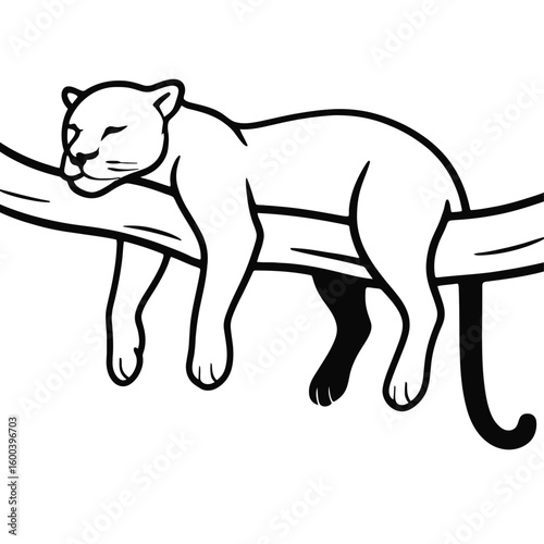 Sleeping Jaguar on Branch Vector Illustration - Relaxing Spotted Big Cat Art