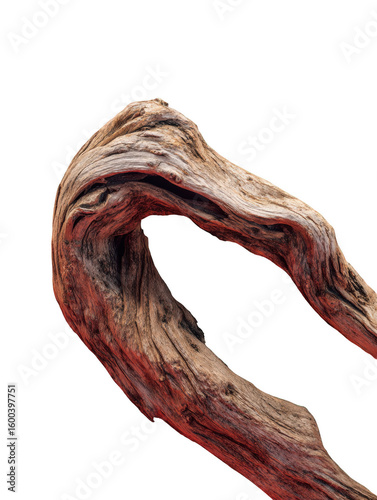 A weathered, curved driftwood branch with detailed texture isolated on white isolated on transparent background