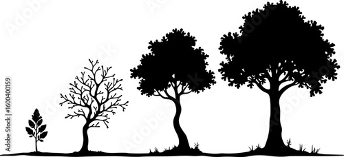 trees, nature, forest, silhouette bundle