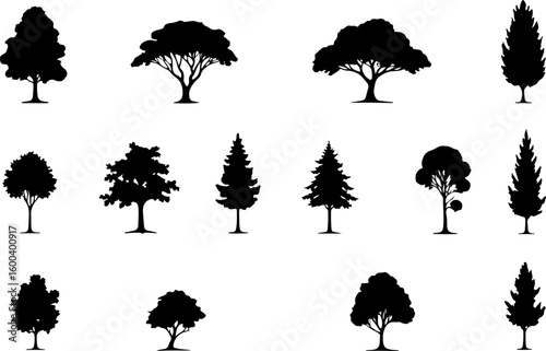trees, nature, forest, silhouette bundle